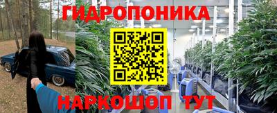 СК Кимры