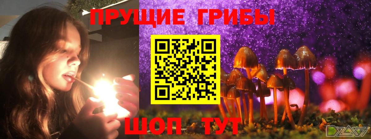 Галлюциногенные грибы MAGIC MUSHROOMS  Вход с VPN  Красный Сулин 